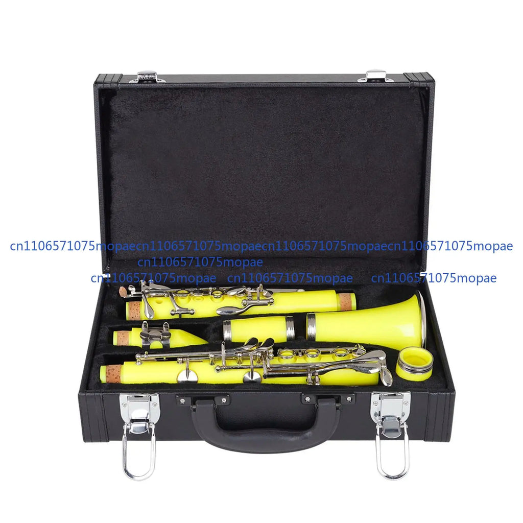 Esquirla Clarinet Storage Case Padded Box Dustproof Instruments — product photo 3 of 6