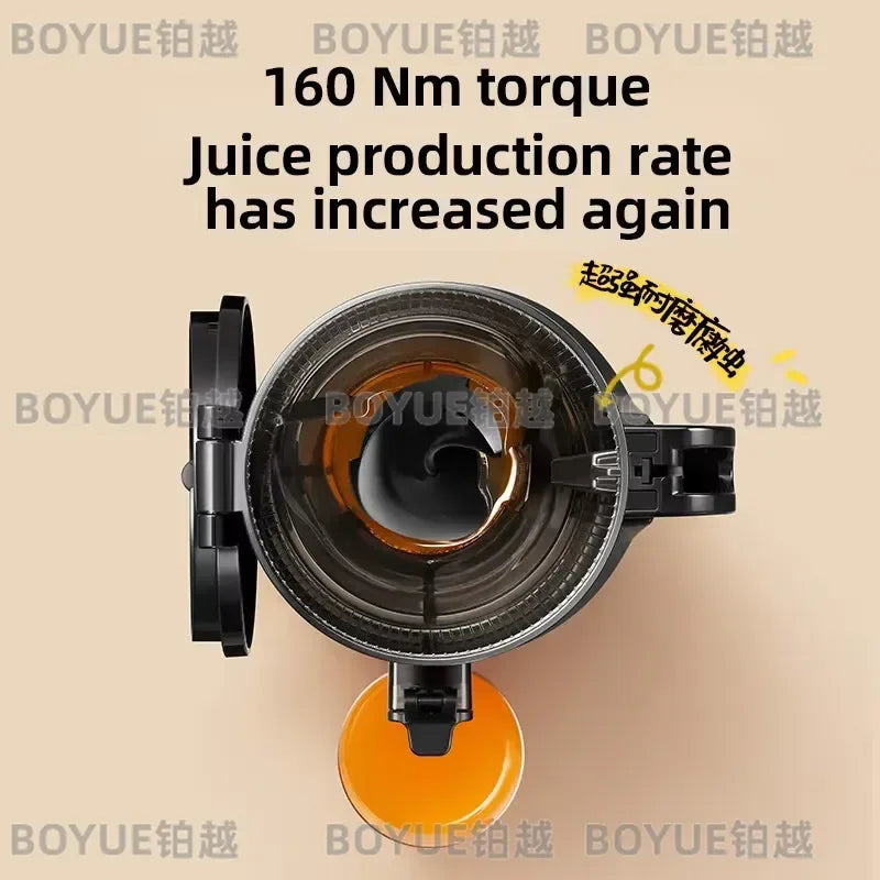 Large Caliber Slow Masticating Juicer High Yield Fruit — product photo 5 of 6