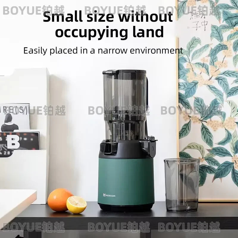 Large Caliber Slow Masticating Juicer High Yield Fruit — product photo 3 of 6