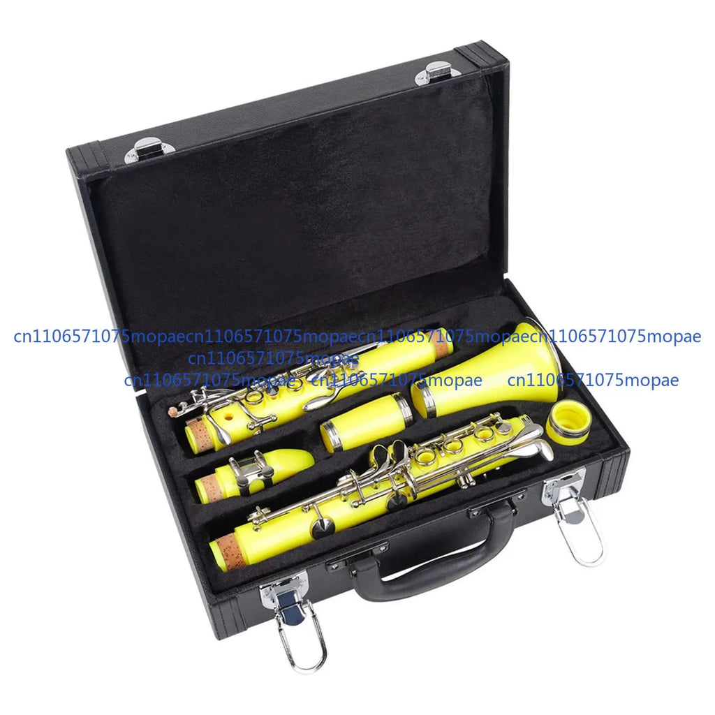 Esquirla Clarinet Storage Case Padded Box Dustproof Instruments — product photo 6 of 6
