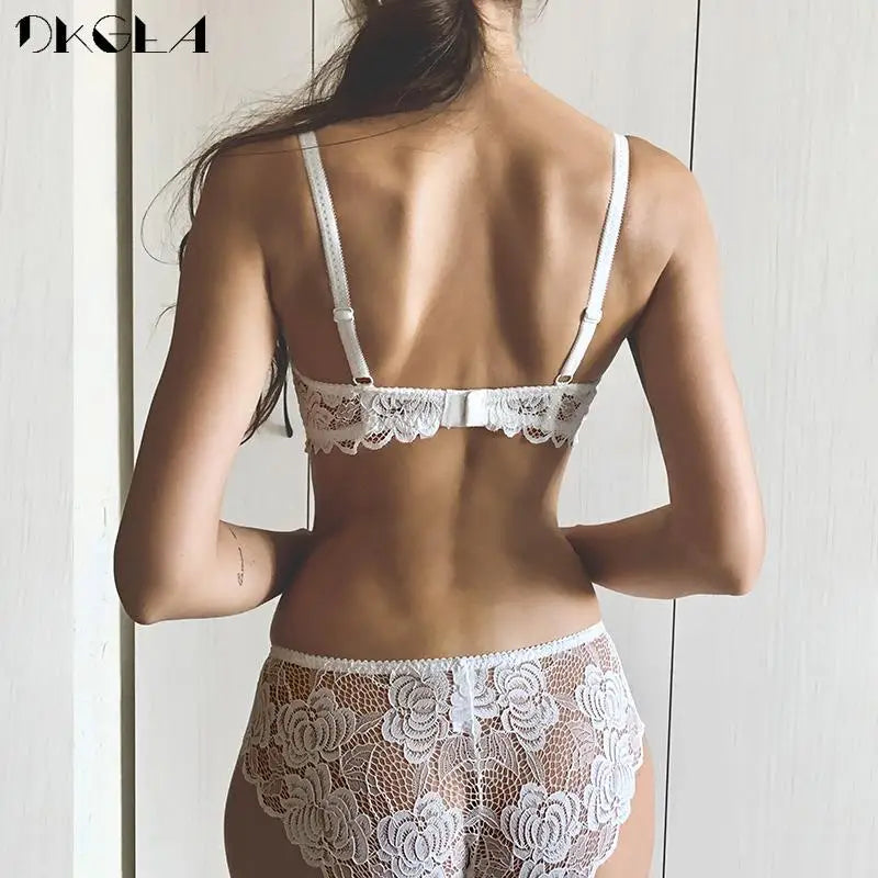 Hollow Lace Bra Sets Transparent Embroidery Underwear Sexy — product photo 3 of 6