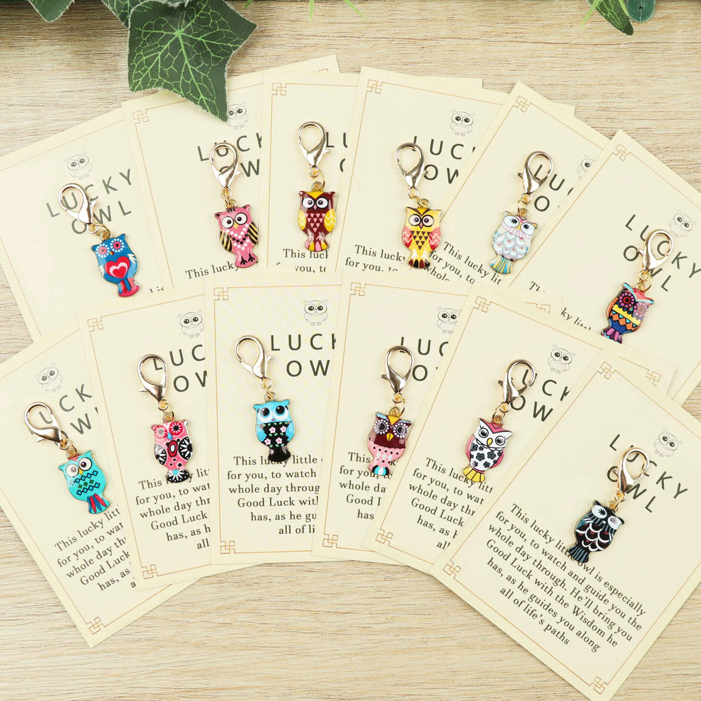 12pcs Charming Owl Keychains — main product photo