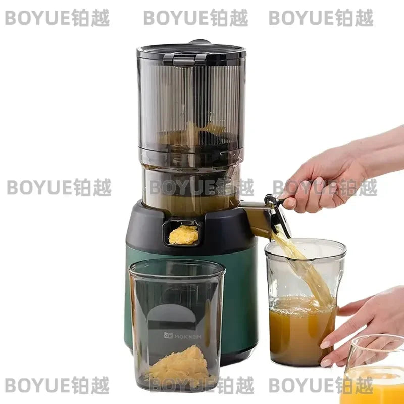 Large Caliber Slow Masticating Juicer High Yield Fruit — main product photo