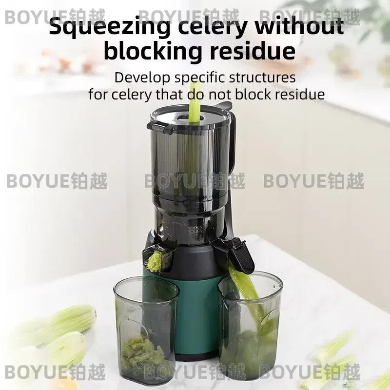 Large Caliber Slow Masticating Juicer High Yield Fruit — product photo 6 of 6