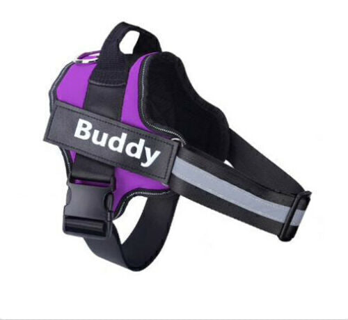 Personalized Dog Harness NO PULL Reflective Breathable Puppy