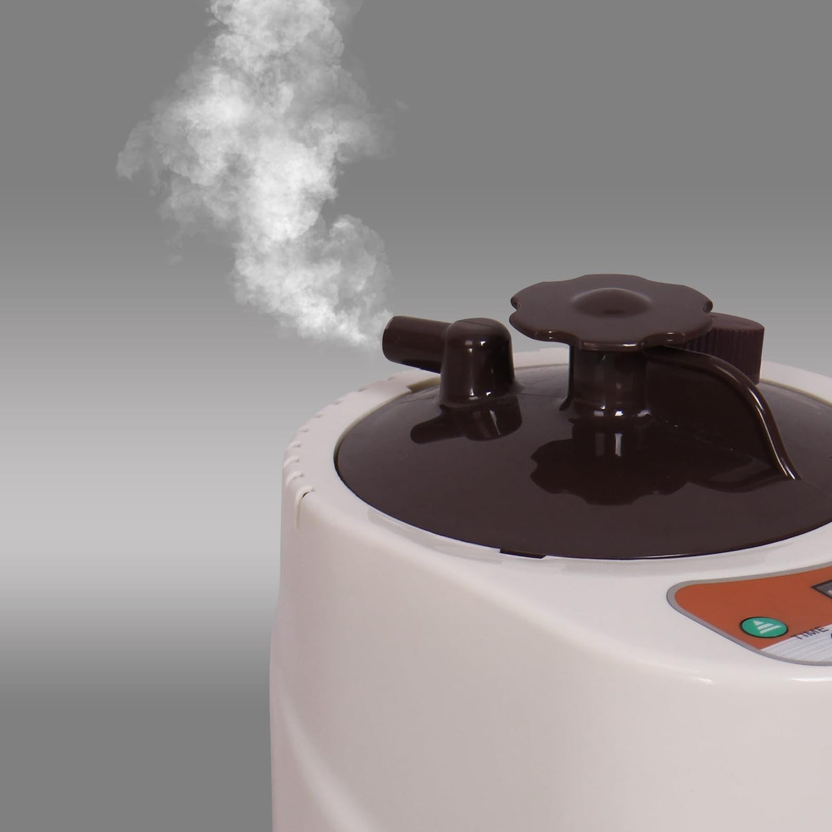 Portable Sauna Steamer — product photo 4 of 8