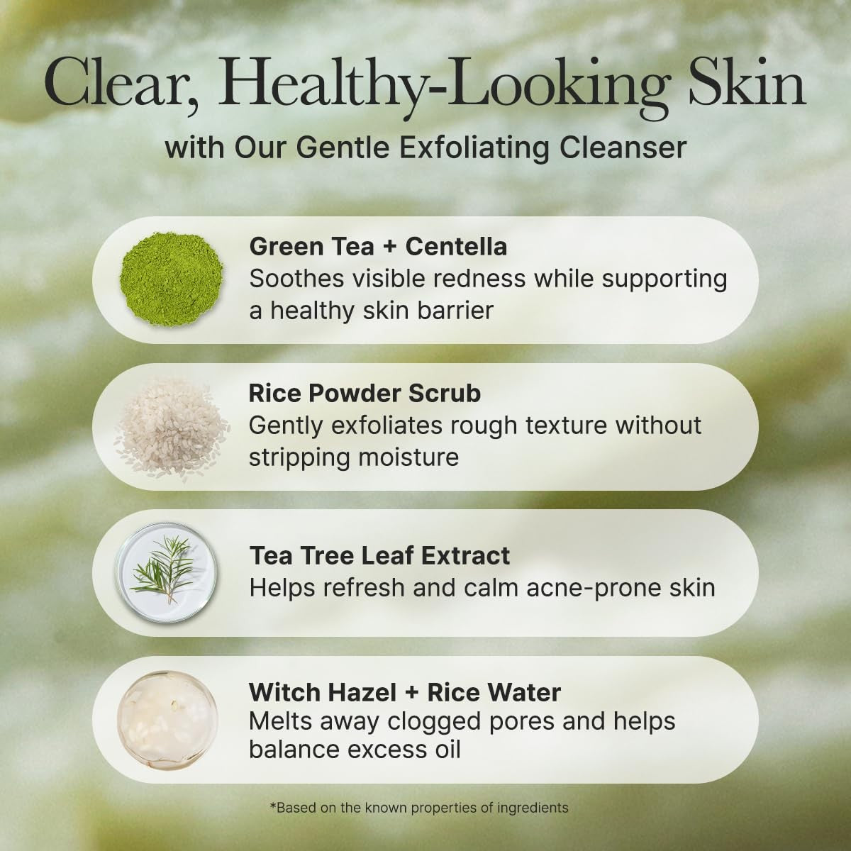 Korean Rice Mochi Face Cleanser — product photo 5 of 9