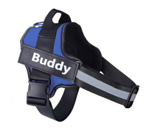 Personalized Dog Harness NO PULL Reflective Breathable Puppy