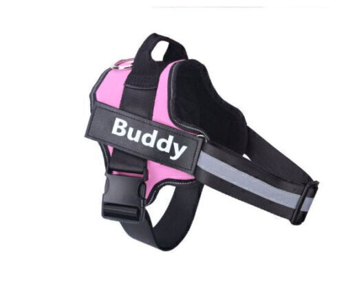 Personalized Dog Harness NO PULL Reflective Breathable Puppy