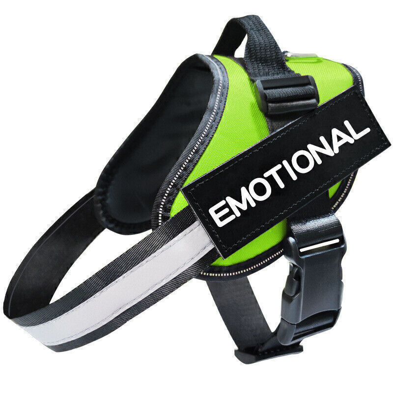 Personalized Dog Harness NO PULL Reflective Breathable Puppy