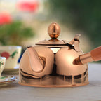 Side Pot Stove Top Kettle Tea Kitchen Teapot
