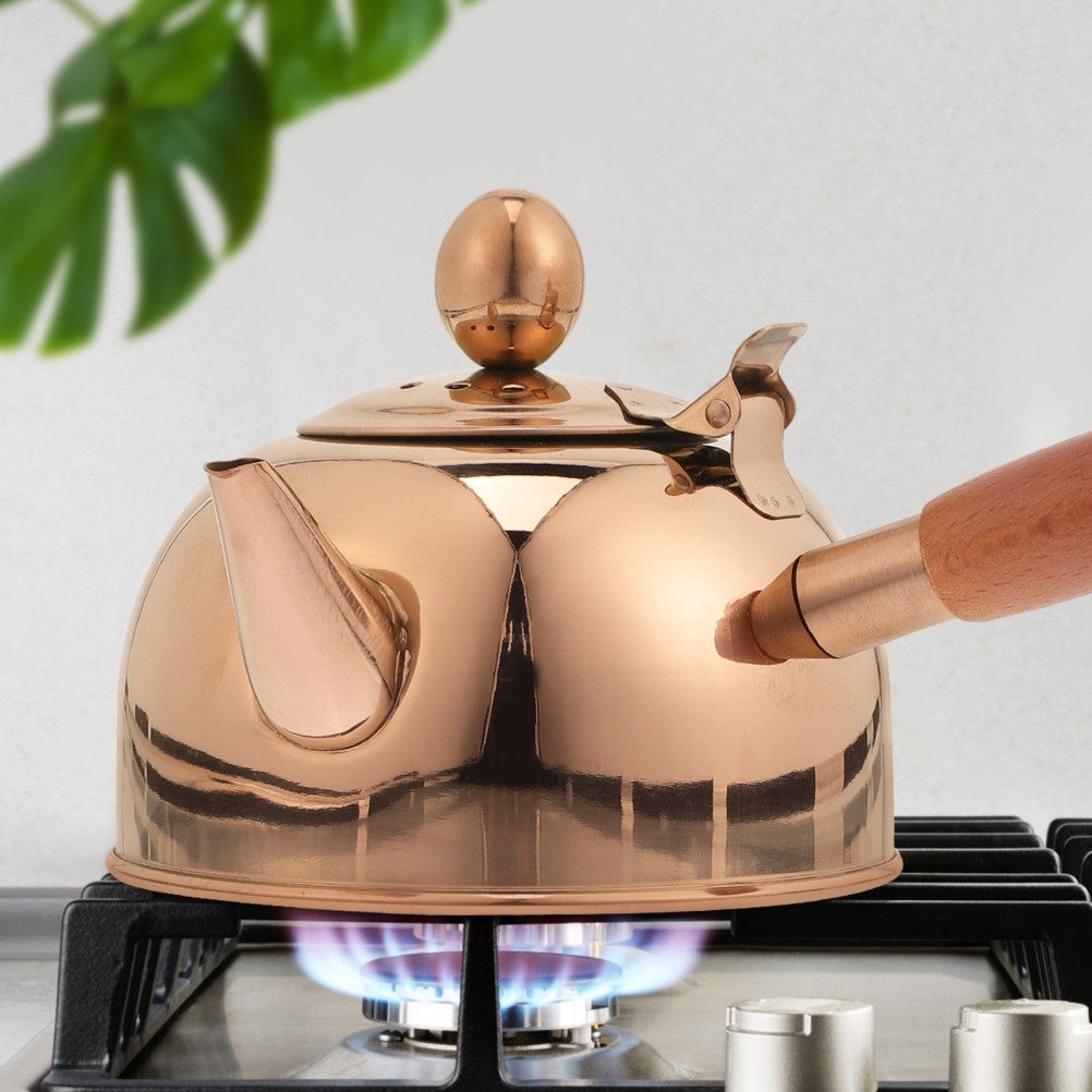 Side Pot Stove Top Kettle Tea Kitchen Teapot